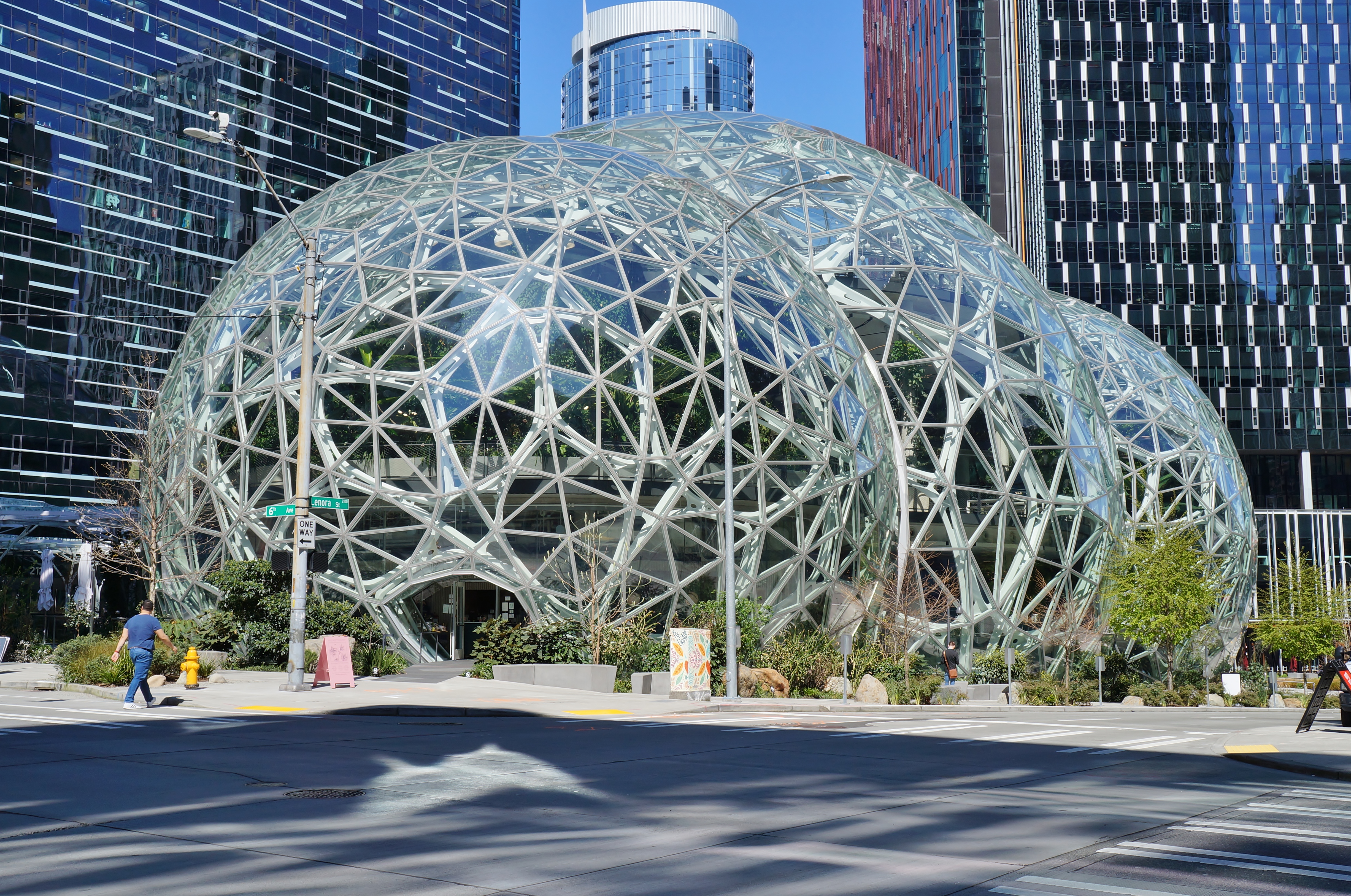 Amazon Sheres Exterior